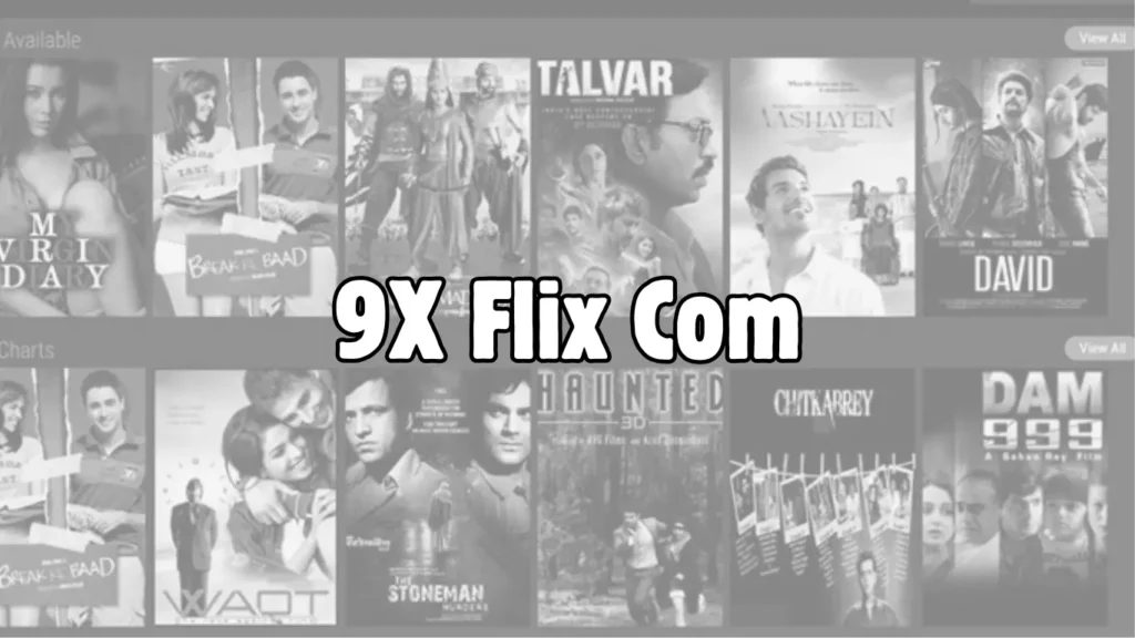 9x Flix Com