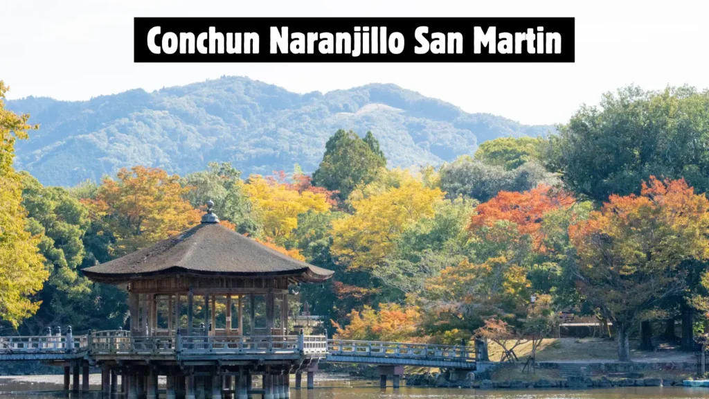 Conchun Naranjillo San Martin