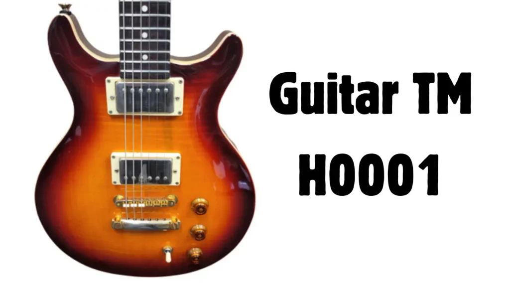 Guitar TM H0001