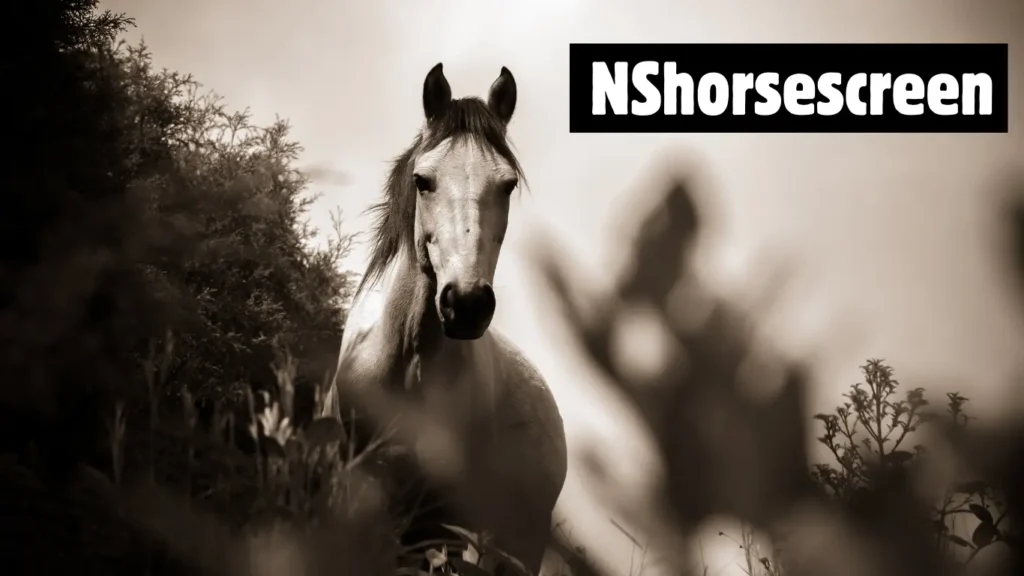 NShorsescreen