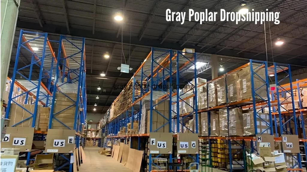 Gray Poplar Dropshipping